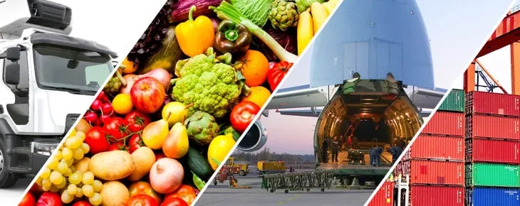 کالای فاسد شدنی